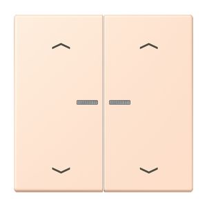 Wip HOME/KNX-F10 2voudig lens+pijlen LC32091