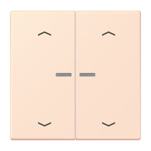 Wip HOME/KNX-F10 2voudig lens+pijlen LC32082