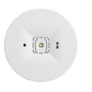 Noodverlichtingsarmatuur ONTEC C C1 60 NM AT W