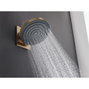 Pulsify S Hoofddouche 260 1 straalsoort Brushed Bronze