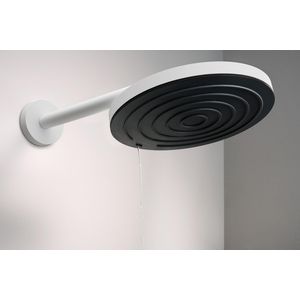 Pulsify Douchearm S 390mm mat wit