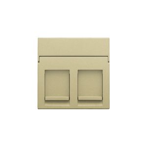 Centraalplaat data 2x RJ gold coated