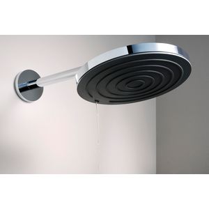 Pulsify Douchearm S 39cm chroom
