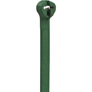 Kabelbinder TY-RAP RVS Lip 203x2,54mm UV Groen VVE=1000