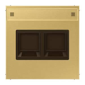 Afdekking LS messing clas.v.mod.jack 2-voudig.