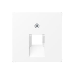 Centraalplaat UAE/IAE 1-voudig opbouw mat wit IP2X