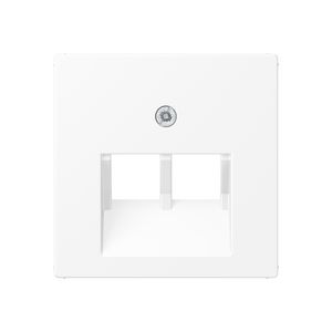 Centraalplaat UAE/IAE 2-voudig opbouw mat wit IP2X