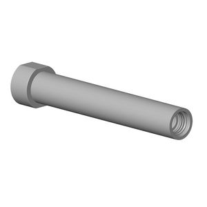 Buis 120mm-BG