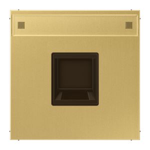 Afdekking LS messing clas.v.mod.jack 1-voudig.