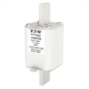 Zekering hoge snelheid 315A AC 1250V 100kA 1 53x63x1 VVE=3
