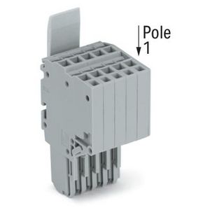 2-draads FE steker 1,5 mm² grijs 2020-205/124-000 VVE=50