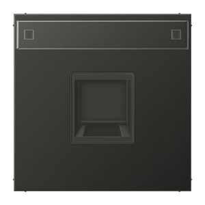 Afdekking LS-ant.m.tekstv.v.mod.jack 1-voudig.