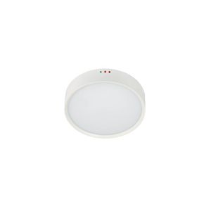 Moon PREMIUM EMERGENCY-Ø250mm-12W-1800 Lumen-Wit-...