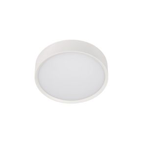 Moon PREMIUM plafond-Ø250mm-12W-1000 Lumen-Wit-3000K
