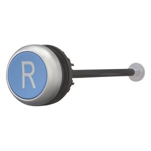 Vrijgaveknop blauw "R" M22-DZ-B-X6