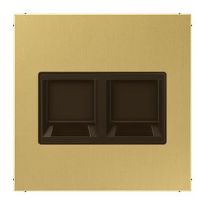 Afdekking LS messing clas.v.mod.jack 2-voudig.