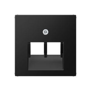 Centraalplaat UAE/IAE 2-voudig opbouw mat grafiet zwart IP2X