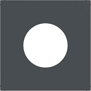 Centraalplaat voor drukknop/lichtsignaal E10 A.x/C.x antraci