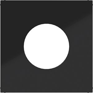 Centraalplaat voor drukknop/lichtsignaal E10 A.x/C.x nachtzw