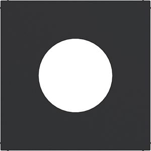 Centraalplaat voor drukknop/lichtsignaal E10 A.x/C.x nachtzw