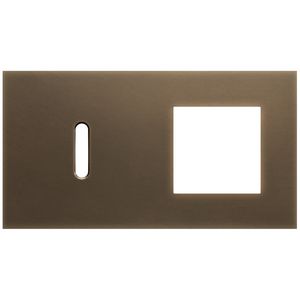2-voudige afdekplaat horizontaal 71mm centerafstand voor een enkel