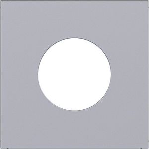 Centraalplaat voor drukknop/lichtsignaal E10 A.x/C.x titaan
