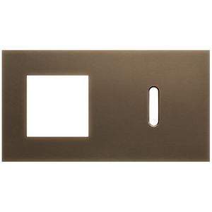 2-voudige afdekplaat horizontaal 71mm centerafstand voor een 45x45mm
