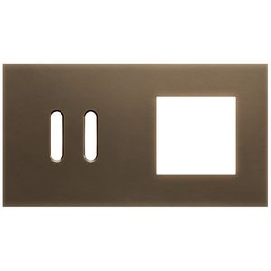 2-voudige afdekplaat horizontaal 71mm centerafstand voor een tweev
