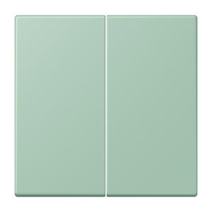 Wip KNX-F10 taster 2voudig LC32041