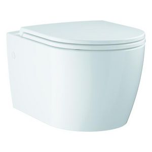 Wandcloset combipack Bau Ceramic 543mm incl. zitting softclose