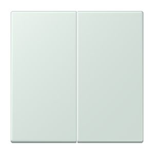 Wip KNX-F10 taster 2voudig LC32034