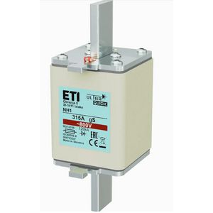 Zekering M1 gS 315A/800V VVE=3
