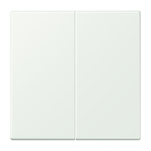 Wip KNX-F10 taster 2voudig LC32024