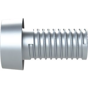 Schroef M6X12 DIN84 VVE=50