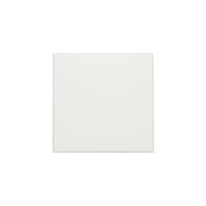 Spuitwaterdichte blindplaat white