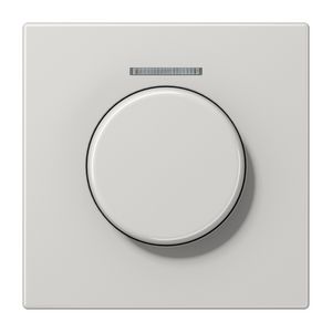 Afdekking LS990 KNX Licht grijs.m.li.venster