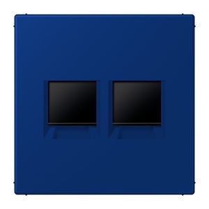Afdekking 2-voudig AMP Radiall LC4320T