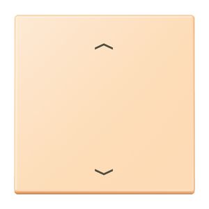 Wip KNX-F10 taster 1voudig pijl LC32060