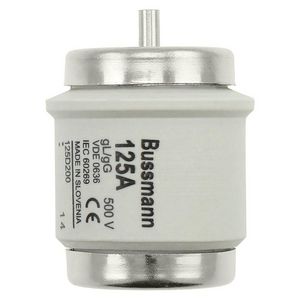 Zekering laagspanning 125A AC 500V D5 56x46mm gL/gG I VVE=10