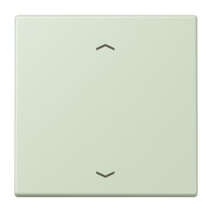 Wip KNX-F10 taster 1voudig pijl LC32042