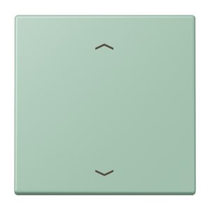 Wip KNX-F10 taster 1voudig pijl LC32041