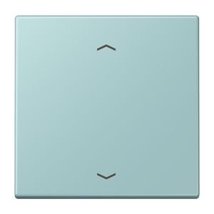 Wip KNX-F10 taster 1voudig pijl LC32033