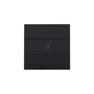 Enkelv. motorbediening Home Control piano black coated