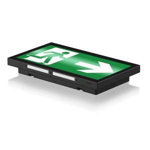 LSFPRO M EX W-INB EM3 NM/MT ZW