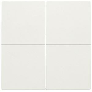 2-voudige toets RF dimschakelaar Hue BT EnOcean KNX white