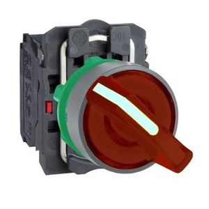 Illum selector switch 2 pos stay put 230VAC 1NO+1NC cp gr