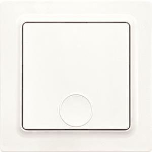 Draadloze EnOcean pulsdrukker,1-kanaals,E-Design,55x55