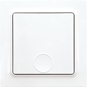 Draadloze EnOcean pulsdrukker,1-kanaals,E-Design,55x55