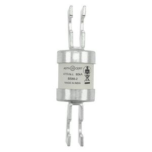 Utility Zekering laagspanning 125 A AC 415 V BS88/ VVE=10