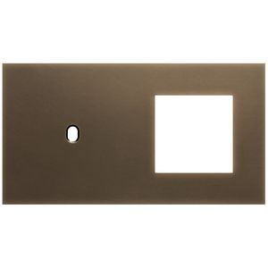 2-voudige afdekplaat horizontaal 71mm centerafstand voor een enkel